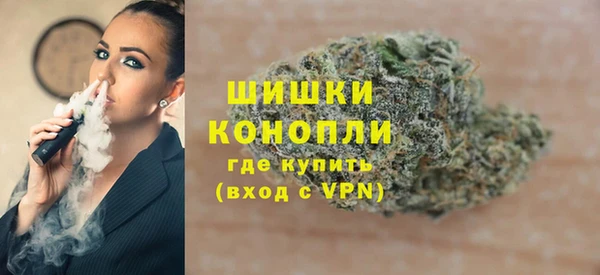 тгк Бронницы