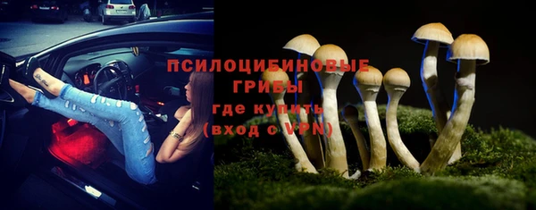 тгк Бронницы