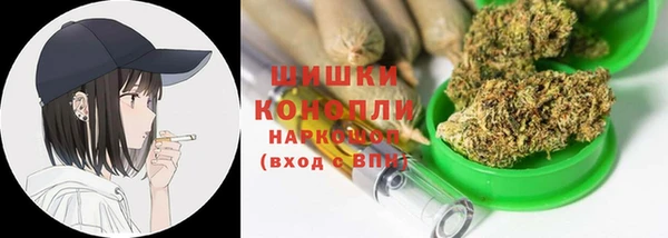 тгк Бронницы