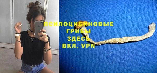 тгк Бронницы