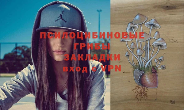 тгк Бронницы